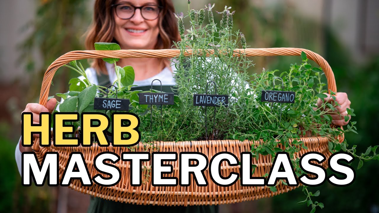 GROW HERBS in Hot Climates: Top 10 Tips for a Thriving Herb Garden