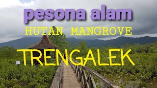 preview picture of video 'Jalan jalan dihutan mangrove trenggalek gaezzz'