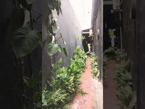 Brigadeiro x Sarutaiá Paraiso#sãopaulo #lugares #places #walking #caminhando #sp #saopaulo #ruas