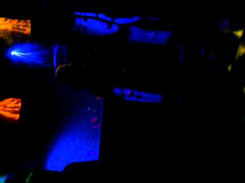 Chacheblack Si tu supieras en concierto fuenlabrada