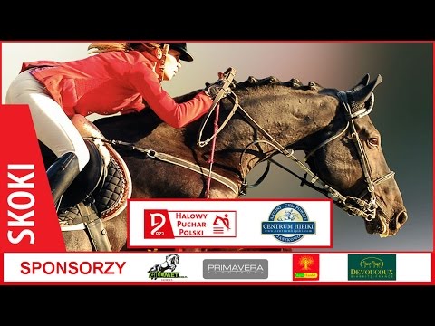 Halowy Puchar Polski Grand Prix / Jaszkowo / 29.11.2015