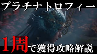 トロコン攻略解説実況！僰人の古巫、極一部の特殊性癖の人にはブッ刺さる特異なボスを斧で掬い上げていきます【ウツロノハネ】