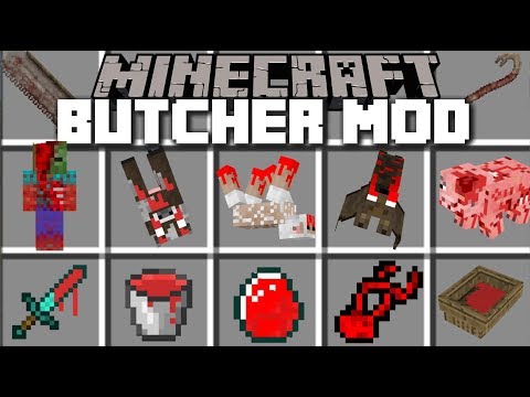 Insane MC Naveed Transforms Villager Town with UNBELIEVABLE Butcher Mod HACKS!!