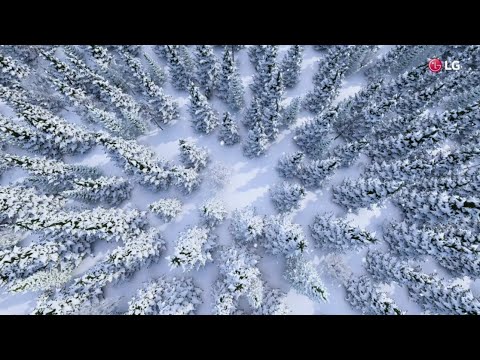 Видеообзор