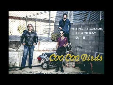 Coo Coo Birds- Radio Promo (105.5 The X): Flying Walrus, McAllen TX 9/18/14