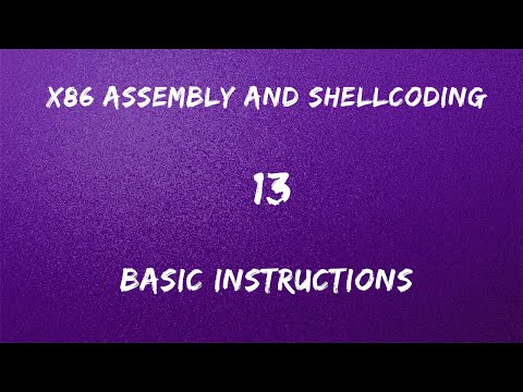 x86 Assembly and Shellcoding - 13 Basic Instructions