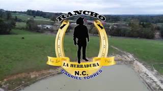 Download lagu EL NUEVO CORRIDO DE RANCHO LA HERRADURA. mp3