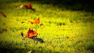 Love is Waiting - Brooke Fraser