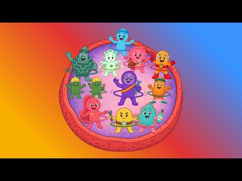 The Cellville Song thumbnail