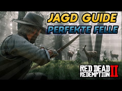 JAGD GUIDE: So bekommt ihr immer PERFEKTE FELLE | RED DEAD REDEMPTION 2 TIPPS & TRICKS