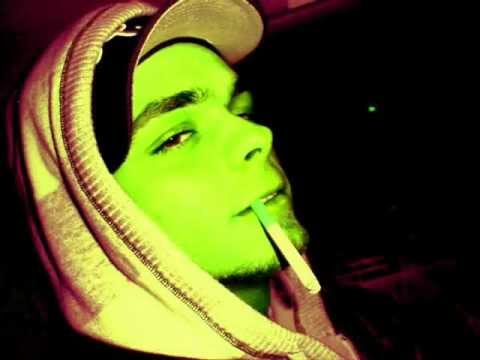 Qushat - Kodra e Trimave