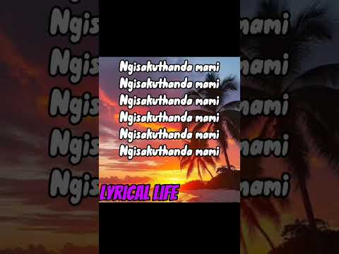 Ngisakuthanda(lyrics)- Zee Nxumalo & TBO ft.PYY Log Drum King. DJ Tearz & Dr Thulz