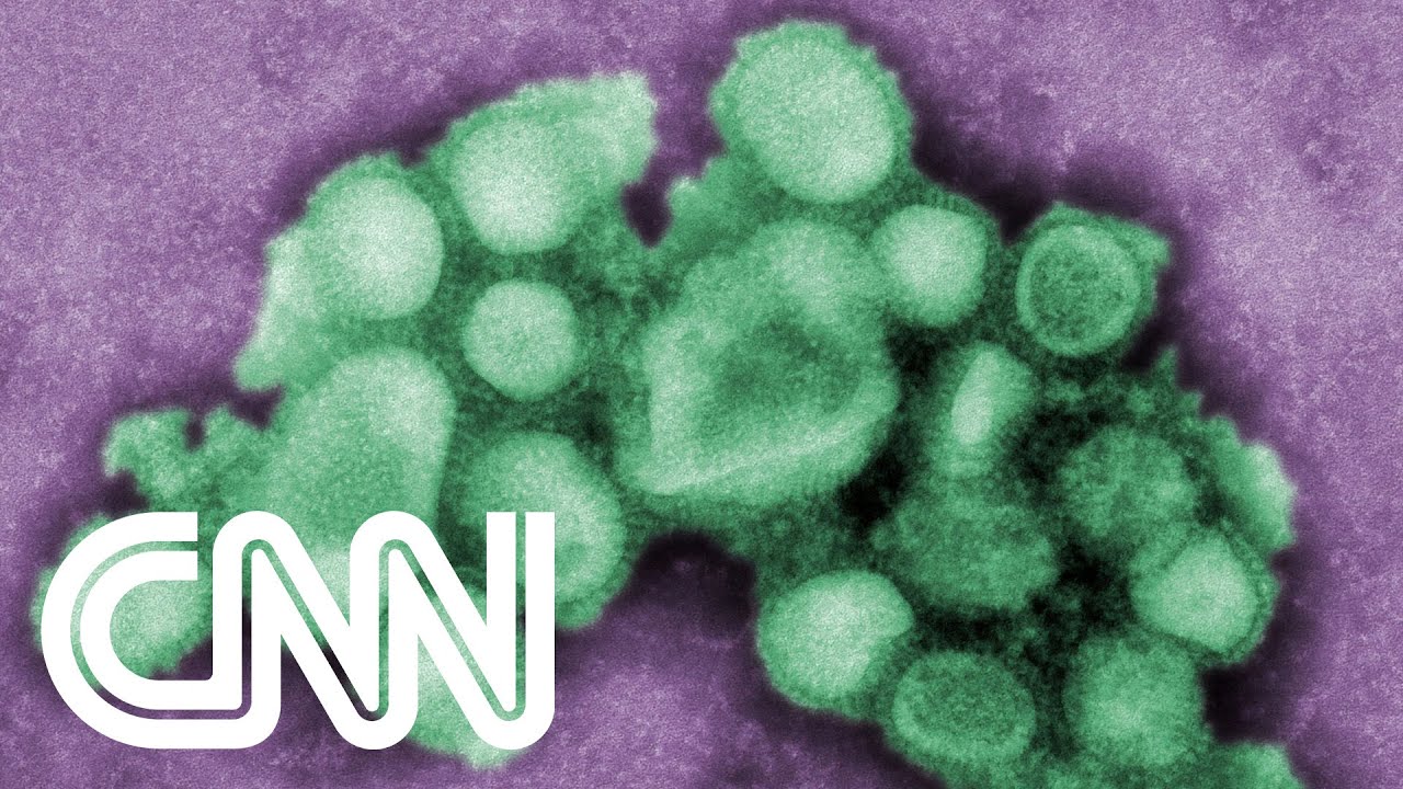 Influenza e Covid-19: especialista explica diferenças e semelhanças | NOVO DIA
