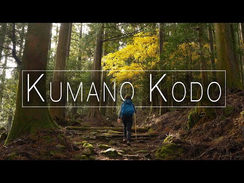 HIKING | The KUMANO KODO Trail, Japan
