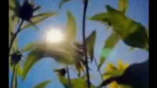 Portal Da Cor  Milton Nascimento