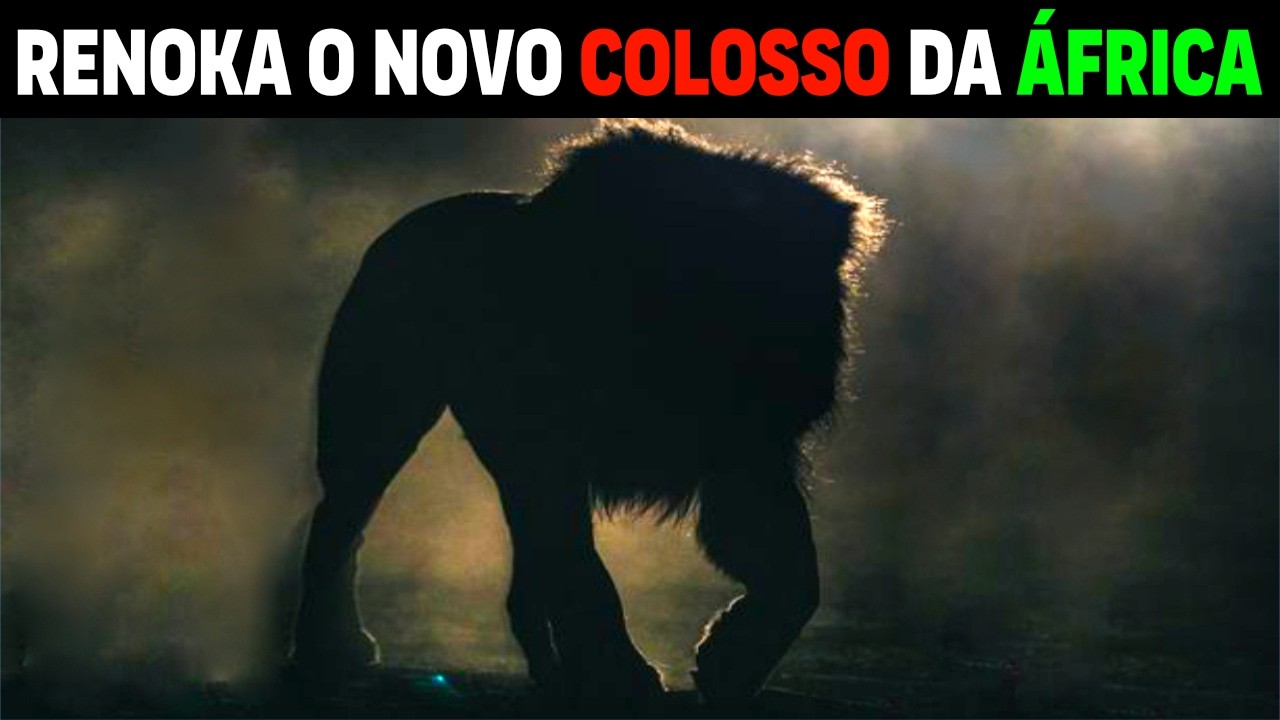 Lion - RENOKA THE NEW COLOSSAL LION KING OF AFRICA