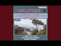 Cello Concerto: II. Allegro appassionato