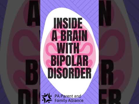 Inside a Brain with Bipolar Disorder