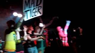 Mad Tiger - Peelander Z