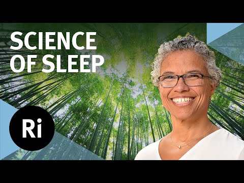 Essential Functions of Sleep: Learning, Memory and Changing Your Mind - with Gina Poe