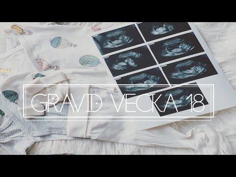 Vem vet mest? I GRAVID VECKA 18