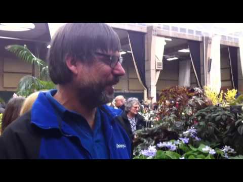 Dibleys nurseries top tip