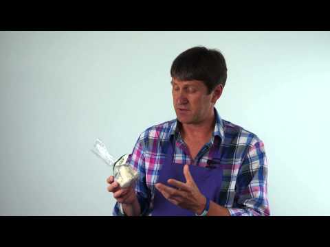 download lagu mp3 mp4 Scottish Tablet Favors, download lagu Scottish Tablet Favors gratis, unduh video klip Scottish Tablet Favors