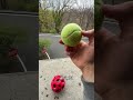 World S Bounciest Ball