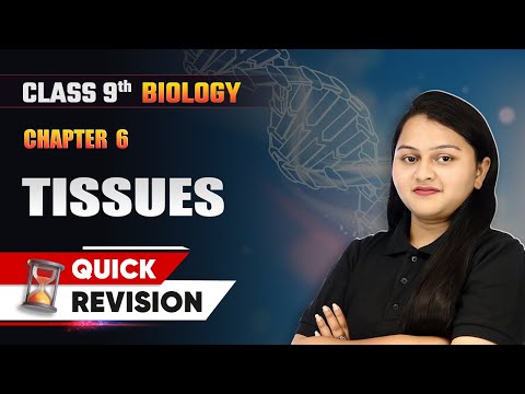 Matter In Our Surroundings Quick Revision Class 9 Chemistry Chapter 1 CBSE 2025 26