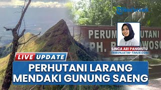 Perhutani KPH Bondowoso Keluarkan Larangan Mendaki di Gunung Saeng, Buntut Insiden Pendaki Jatuh