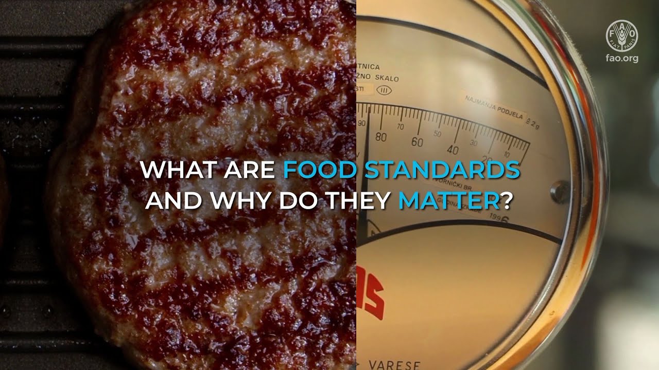 What are food standards and why do they matter?