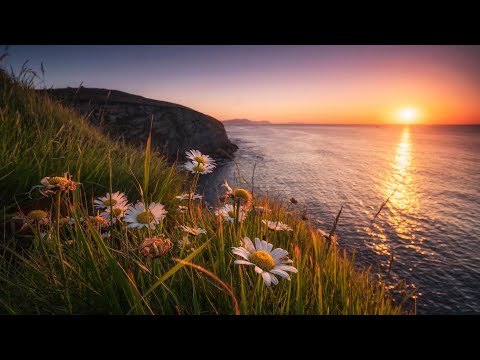 🥰kazeWIW - doyalike 😌 Vibe Music 🎵 New Feature 🌺 FHD