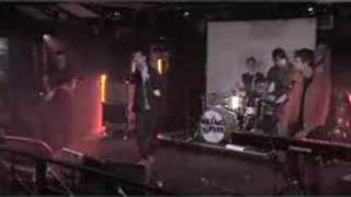 Maximo Park - Signal and sign (BBC Session)