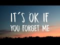Astrid S It S Ok If You Forget Me Lyrics
