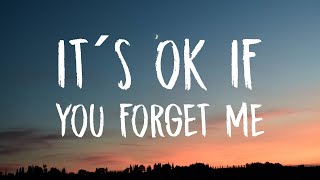 Download lagu Astrid S It s Ok If You Forget Me... mp3