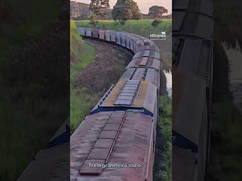 TREM GRANELEIRO VAZIO CORRENDO PARA PALMEIRAS DE GOIÁS AO POR DO SOL #brasil #train #goiás #ferrovia