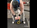 35kg Plate Pinch for hold easy