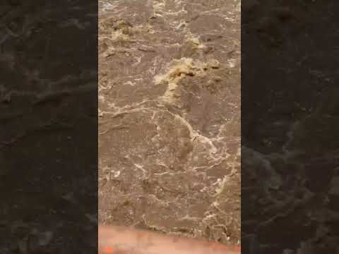 Rio Piracicaba no início da tarde do dia 26 de fevereiro de 2026 #piracicaba #riopiracicaba