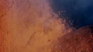 Fireflies - Nick Cave and the Bad Seeds (BAD SEED TEEVEE FAN VIDEO)