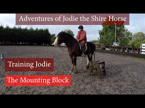 TrainingTuesday Ep1. The Mounting Block