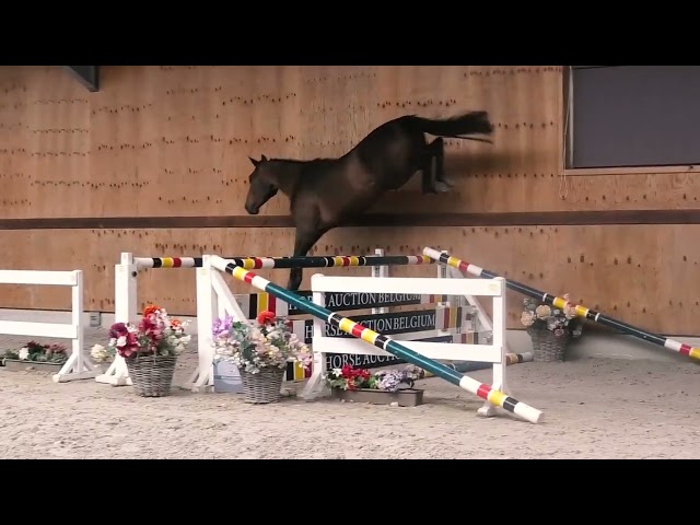 Jumping
