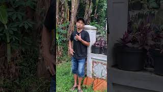 Download lagu Mau ketawa takut dosa video lucu bikin ngakak hiburan warga 62 funny videos #funny #shorts #viral mp3