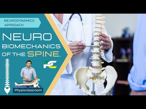 Conceptual Framework of Neurodynamics Treatment Approach The 3 Part System