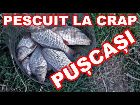 Pescuit la crap pe barajul PUSCASI Vaslui