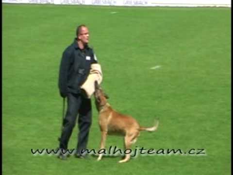 World Champion FMBB 2010 - Finale FMBB 2010 - 1. Mia Skogster C- 97,5 total- 481