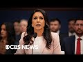 Tulsi Gabbard Resigning As Trump S Director Of National Intelligence Full Coverage