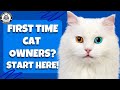 The Ultimate Guide For First Time Cat Owners
