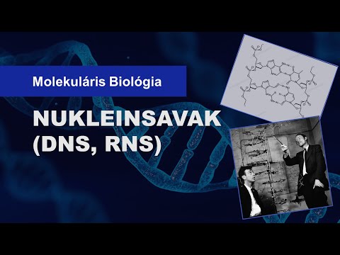 az éteri test parazitái manta sugár férgekkel