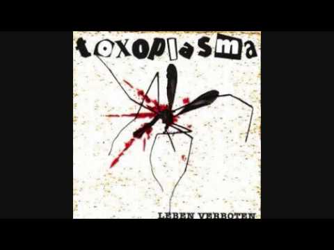 Toxoplasma - Zeichen der Zeit