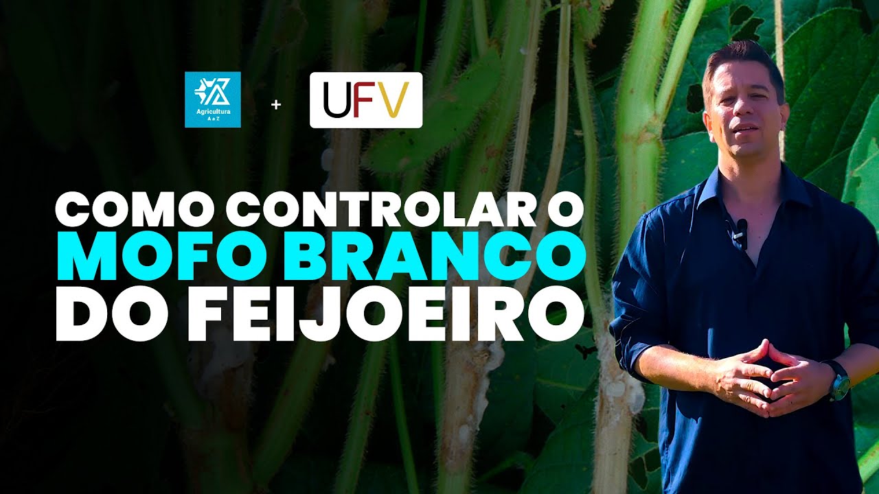 HOW TO MANAGE WHITE MOLD ON BEANS